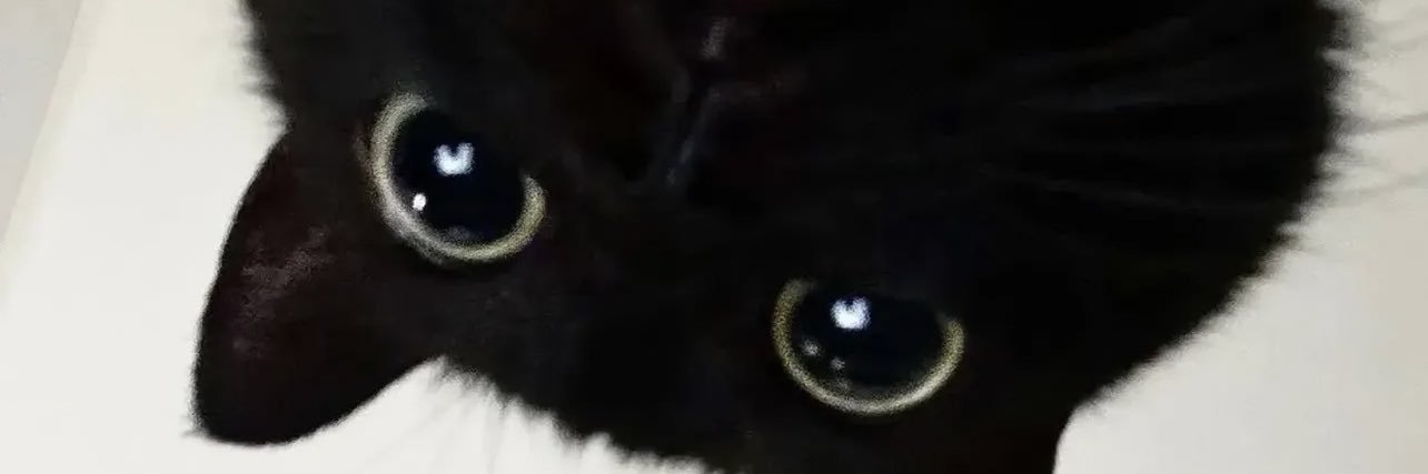 peemaironghaina's profile banner image