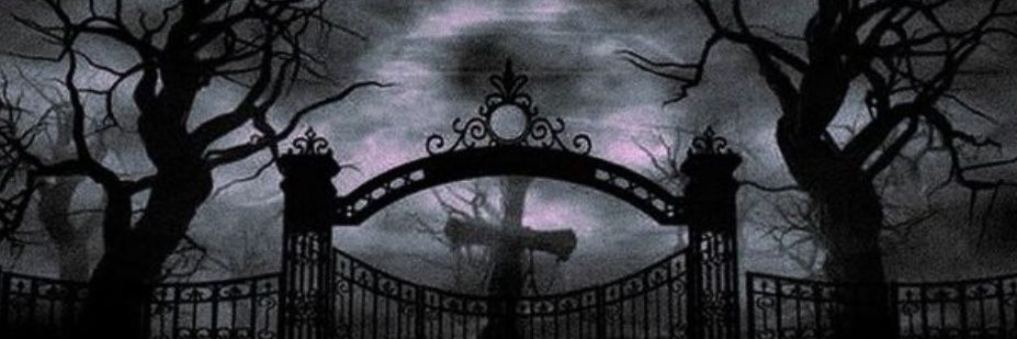 szuiczson's profile banner image
