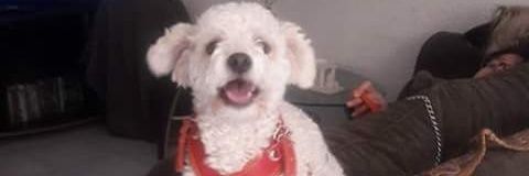 veritoprrr's profile banner image