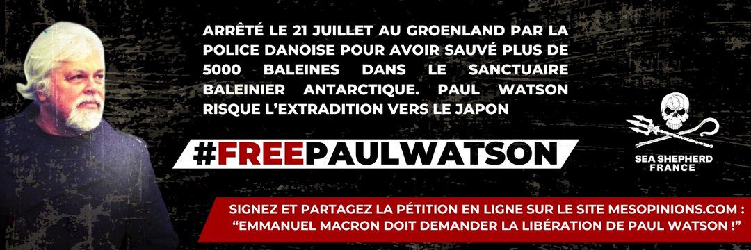 #FreePaulWatson🩵 banner