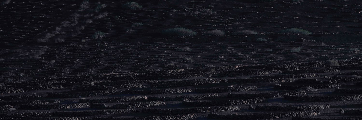 ドンドルプ banner