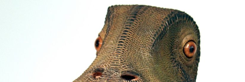 Octobus banner