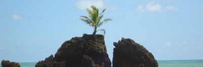 lenilsonbraa's profile banner image