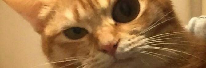 Christopherx__x's profile banner image
