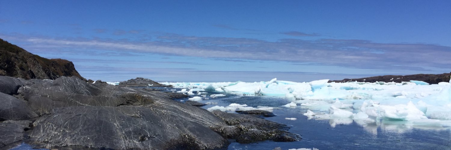 Frea Nijboer 🍂 freanijb@mastodon.nl banner