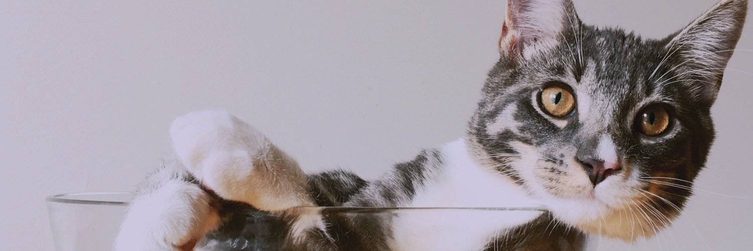 lyssaneumann's profile banner image