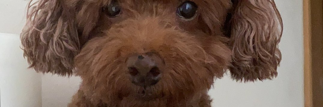 G banner