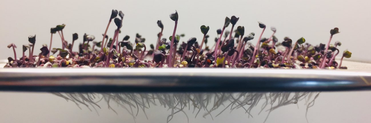 Magdalena Beres 🇺🇦 banner