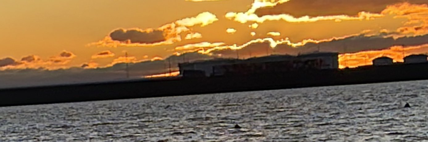 mt597's profile banner image