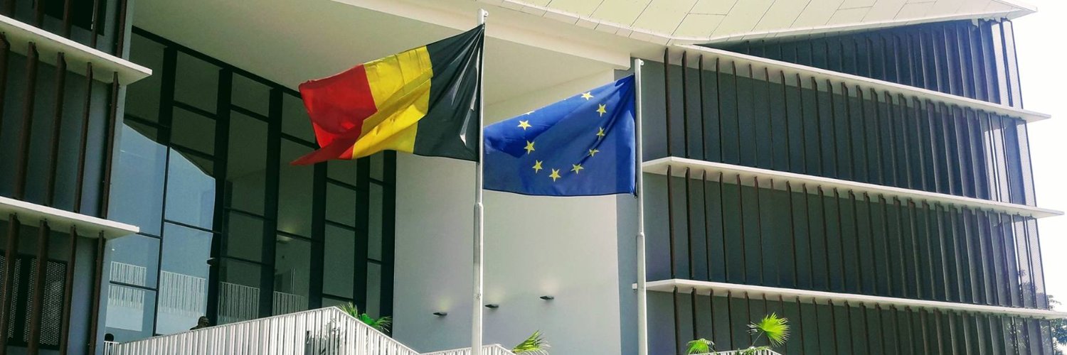 Belgique en RDCongo's banner