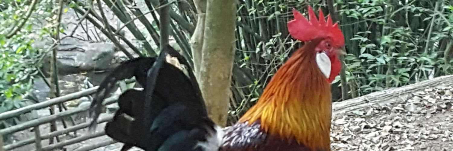 Threesome69 banner