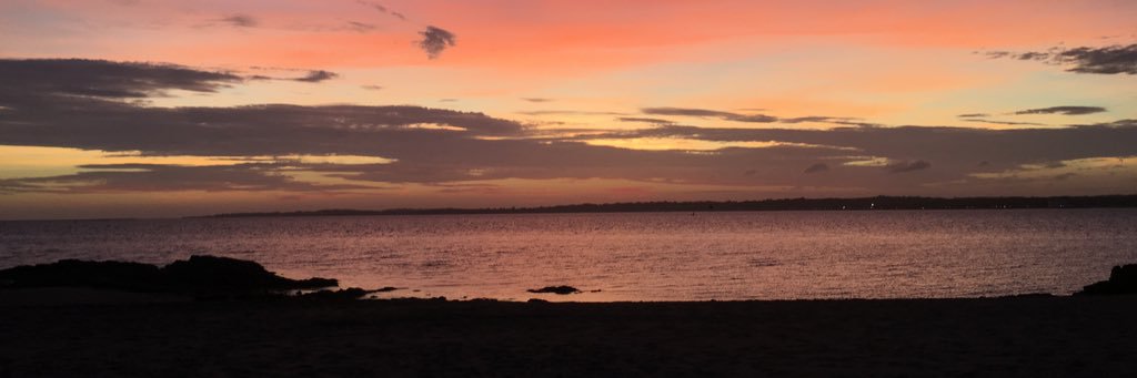 sammyymaja's profile banner image