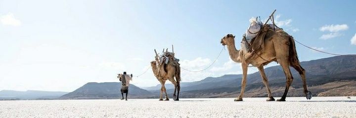 abdub_matoye's profile banner image