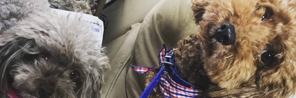 junta_rs Profile Banner