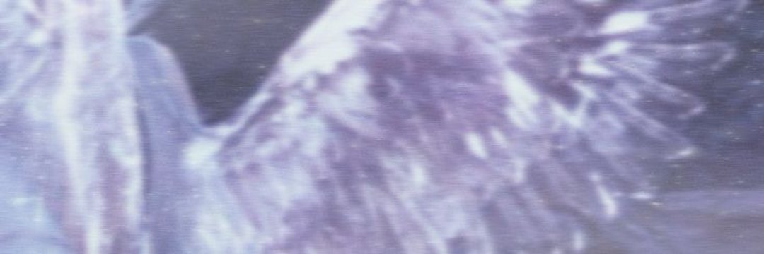 лерия валерз banner