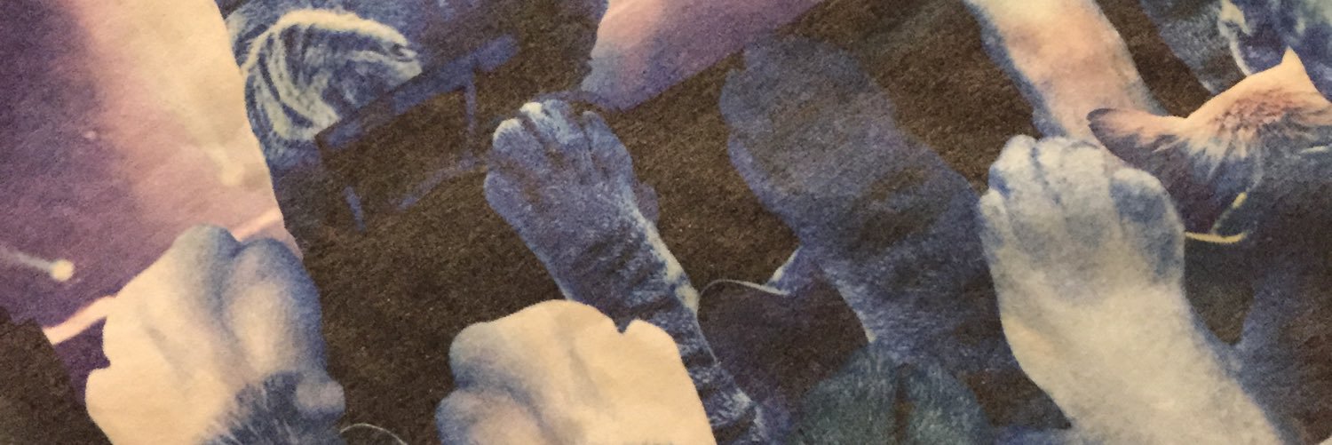 aoki banner