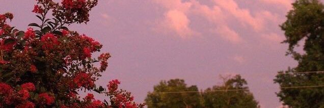 𝘚𝘢𝘪𝘱𝘳𝘢𝘯🦋 banner