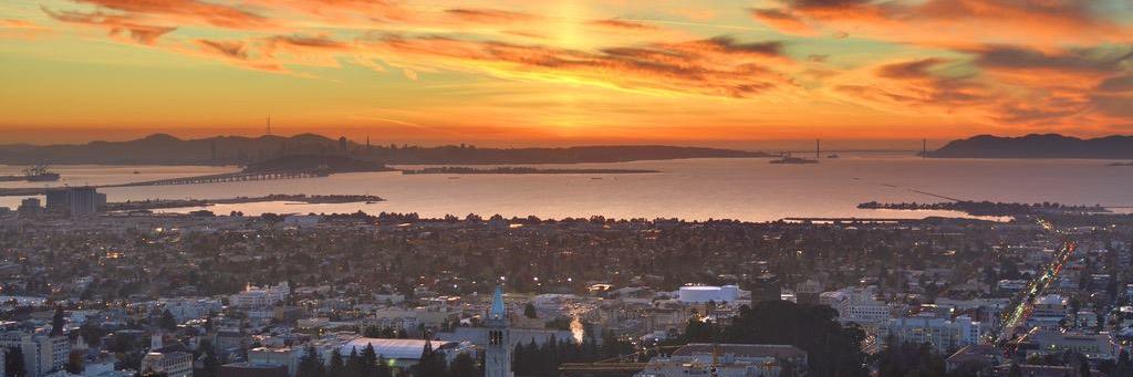 Michela Paganini banner