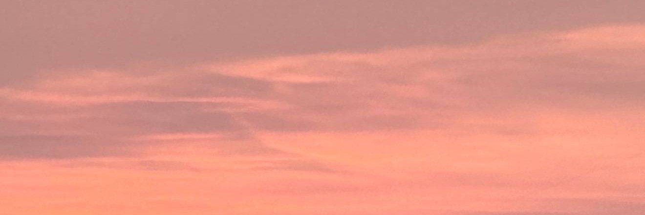Yew9514's profile banner image