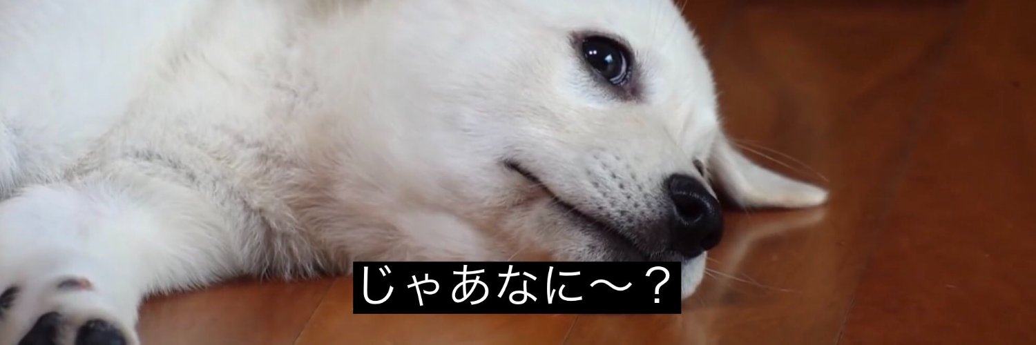 ゆうちゃむ banner