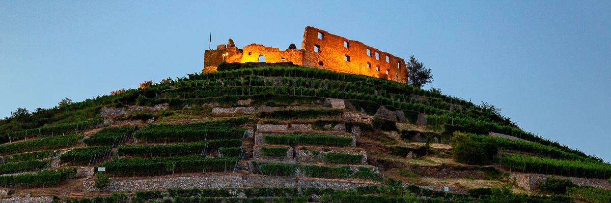 piercingthevine's profile banner image