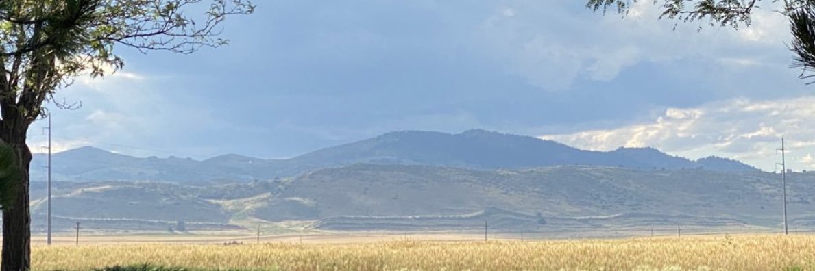 Gust₳v banner