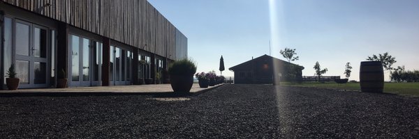 AskRedMaple Profile Banner