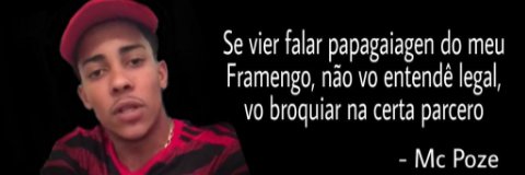 terraflanista tetra da libertadores e linda banner