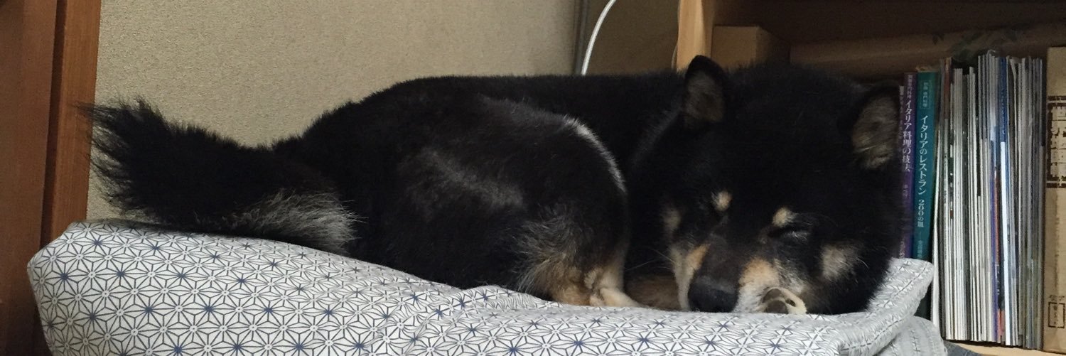 oyuchanko's profile banner image