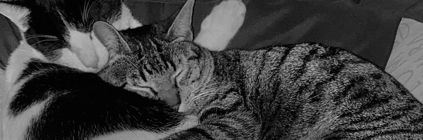 daavidmooreno's profile banner image