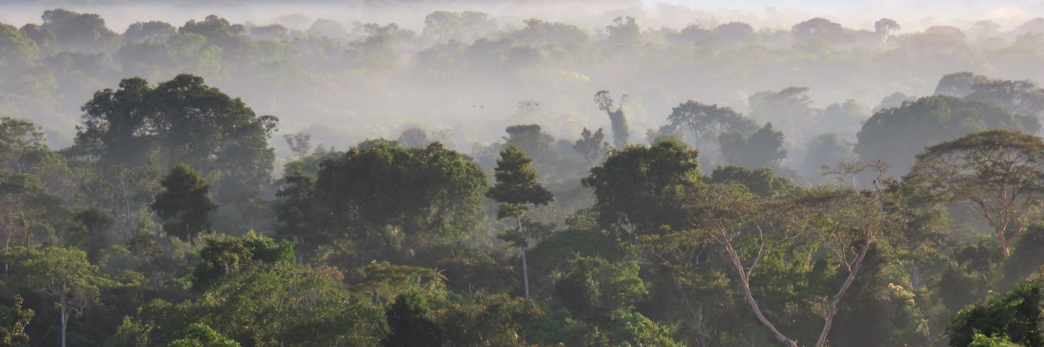 Lussy Australopithecus afarensis banner