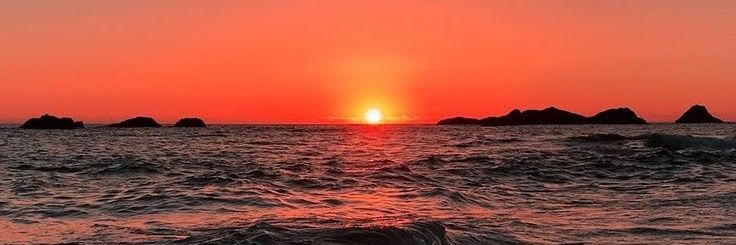 Lidia banner