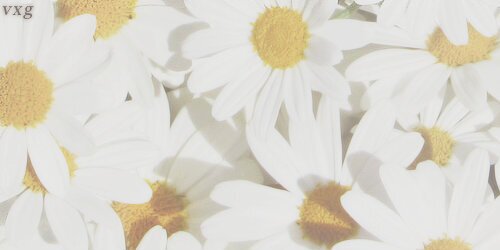 maudymayunda's profile banner image