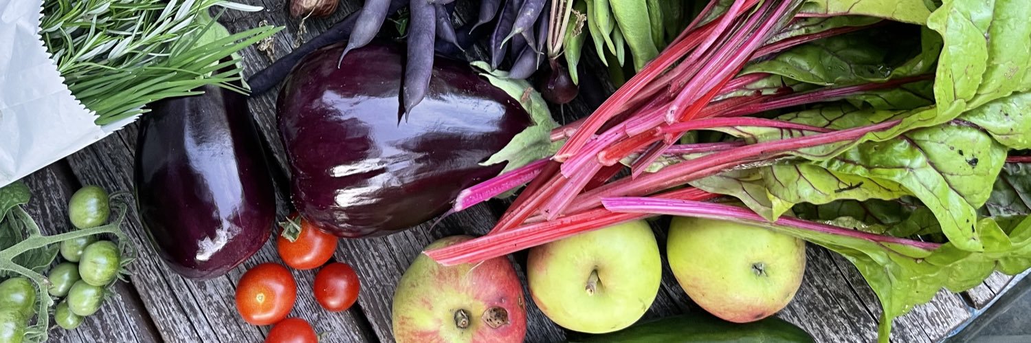 Nikki Jones #FBPE banner