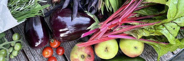 NikkiNonJones Profile Banner