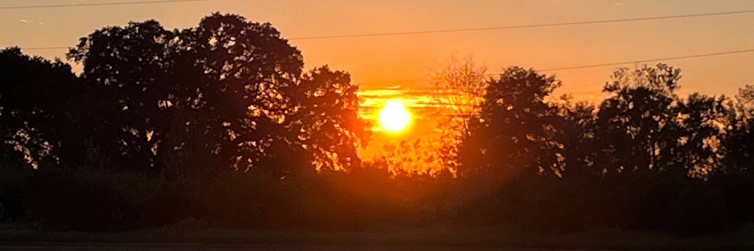 Dottie Lovelady Rogers banner