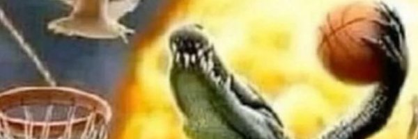 Jay_rl_ Profile Banner