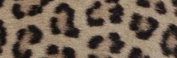 charmedheaux's profile banner image
