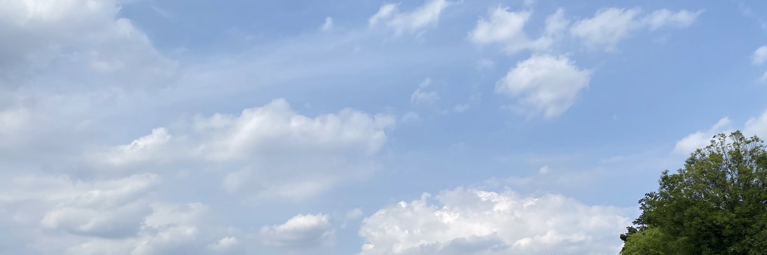 mokonet's profile banner image