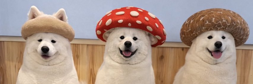 だち🍄(ゆちき) banner