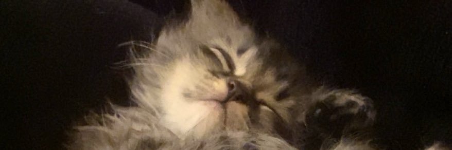 xzrtp's profile banner image