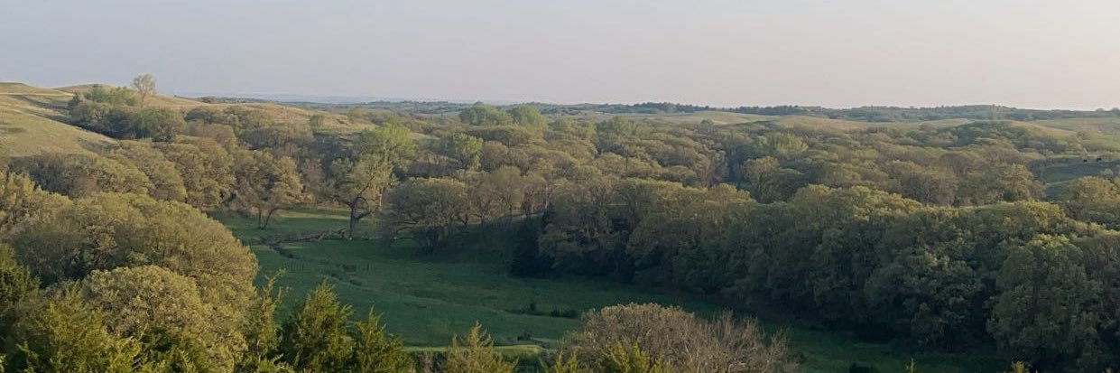 Kamp Shepherd banner