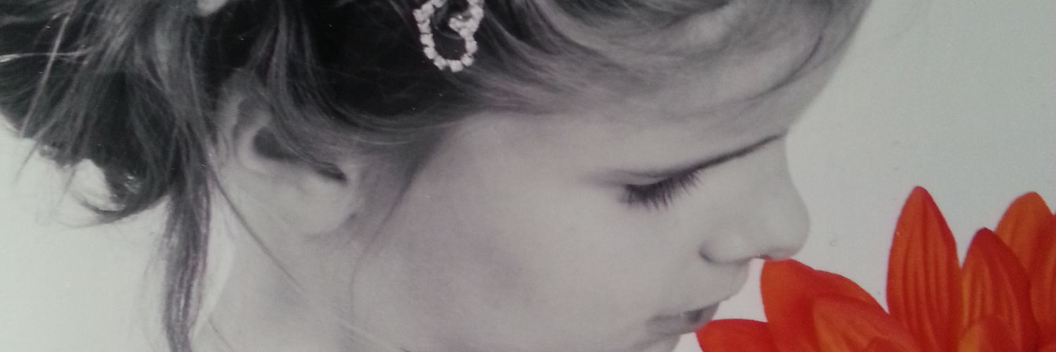 danny van tessel banner