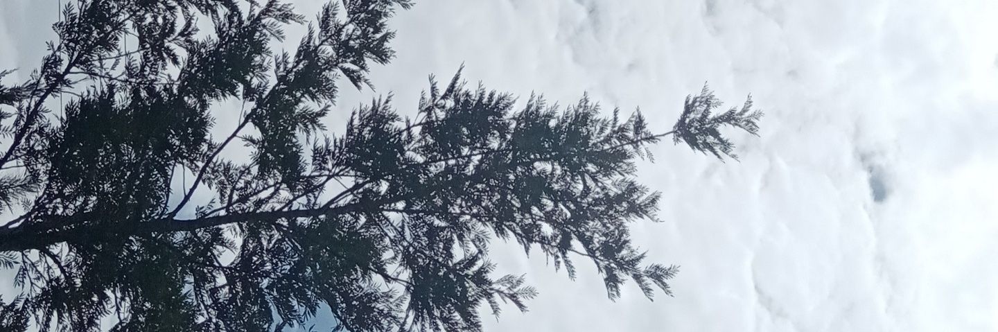 Chloepamba's profile banner image