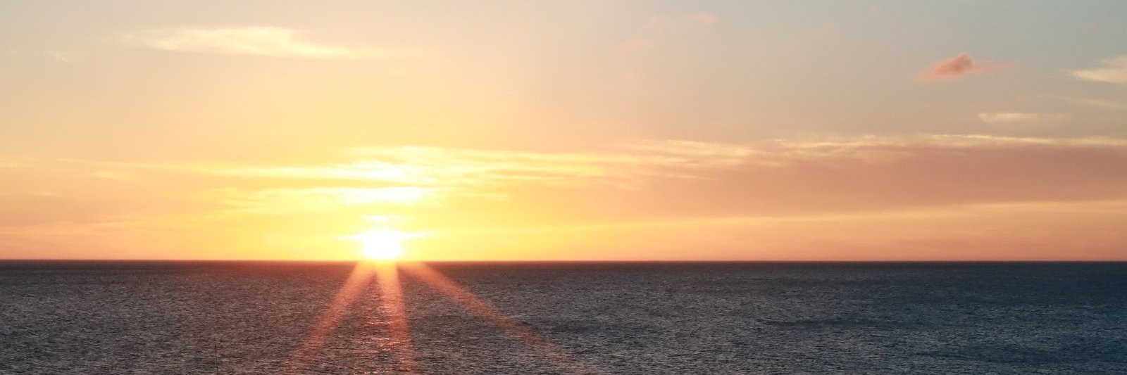 tacosu's profile banner image