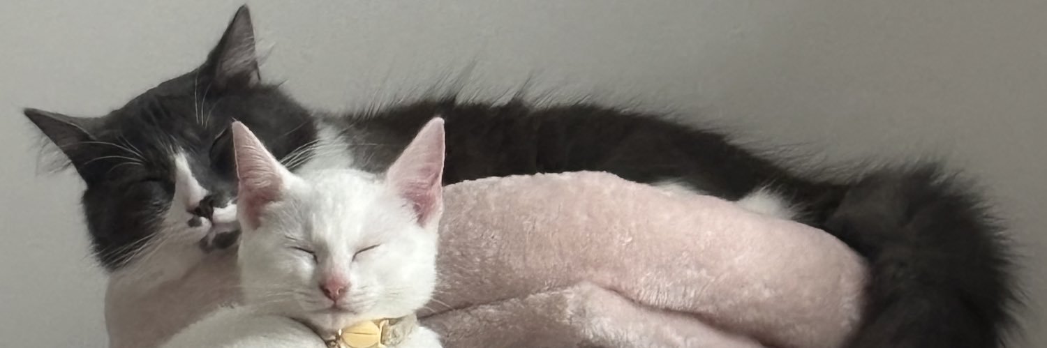 Meg727's profile banner image