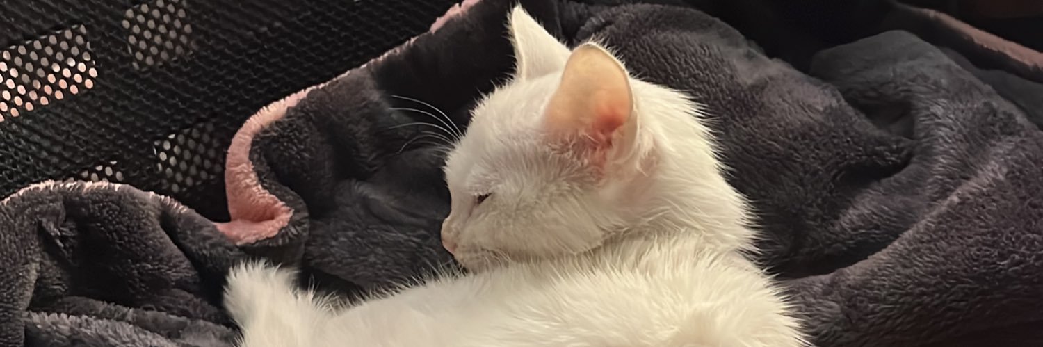 janamshbelg's profile banner image