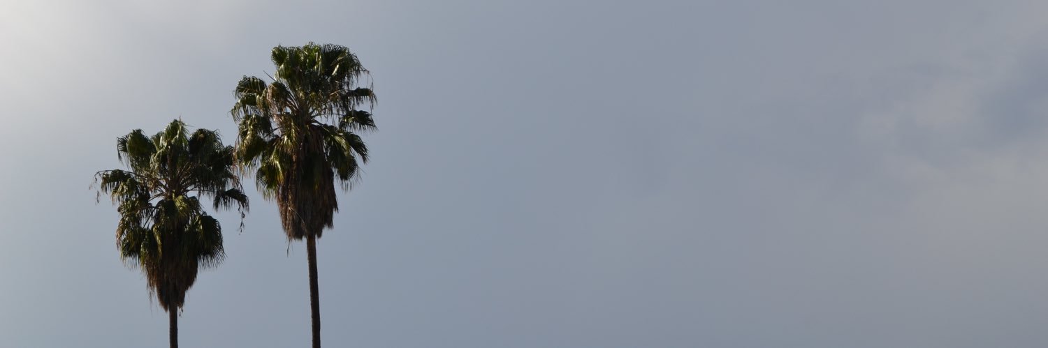 ashnikolaou's profile banner image