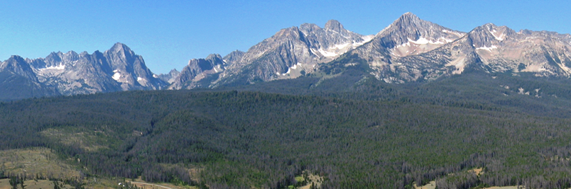 National Association of Forest Service Retirees's banner