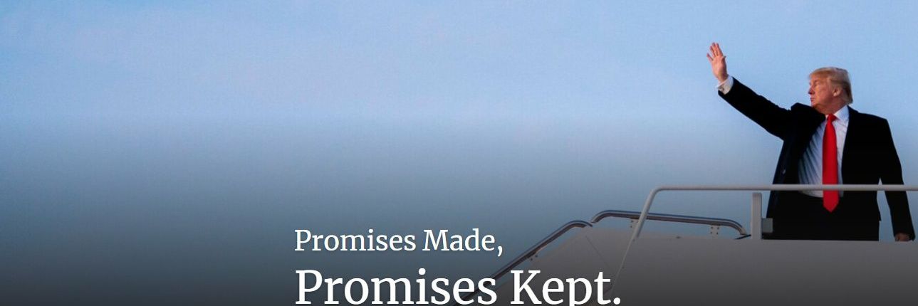 どらもん☁子どもとキャンプ banner